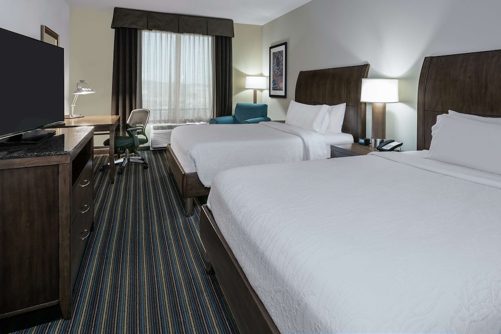 Hilton Garden Inn San Antonio At The Rim - photo 11