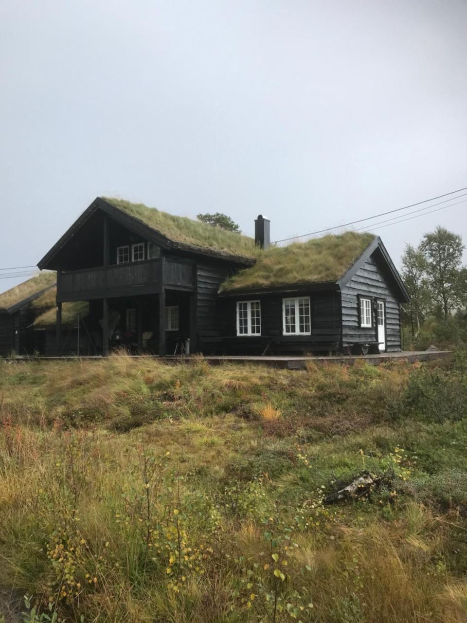 Remestøylflotti Hyttegrend in Hovden, Norway