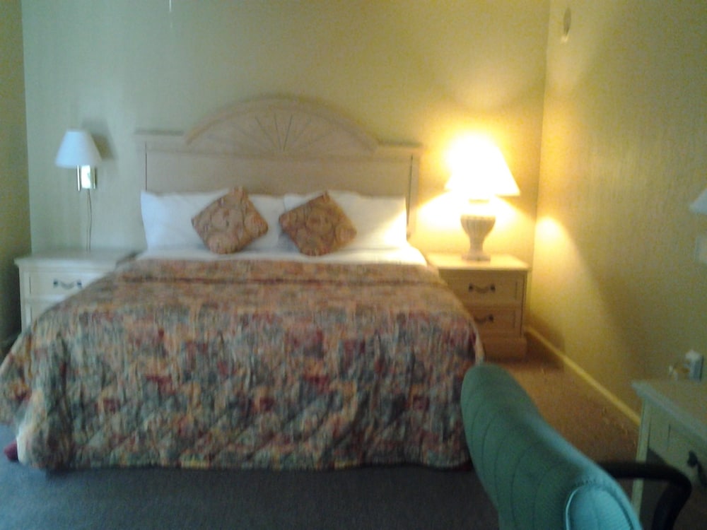 Budget Lodge of Mount Dora - photo 3
