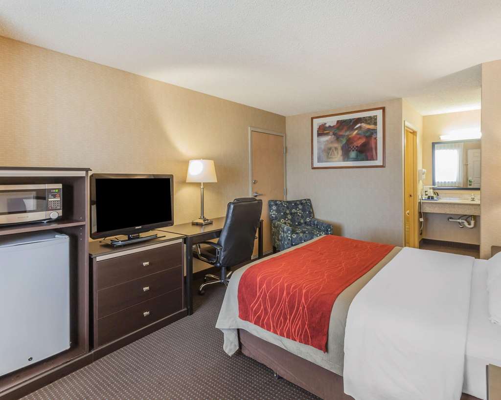 Comfort Inn On the Bay - photo 11