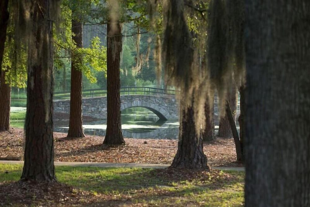 Little Ocmulgee State Park and Lodge - photo 13