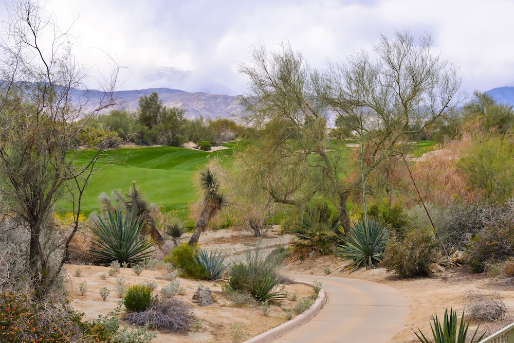 Residence Inn By Marriott Palm Desert - photo 42