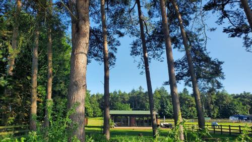 The Retreat 1 bed cabin in the woods — 4-Star Luxury Hotel in Aylsham, United Kingdom