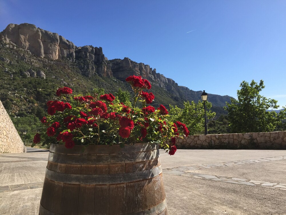 Balcó del Priorat — hotel in La Morera De Montsant