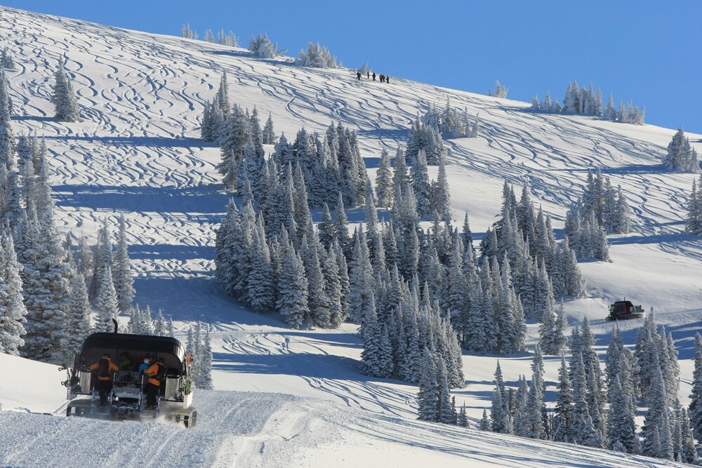 Teewinot Lodge by Grand Targhee Resort - photo 29