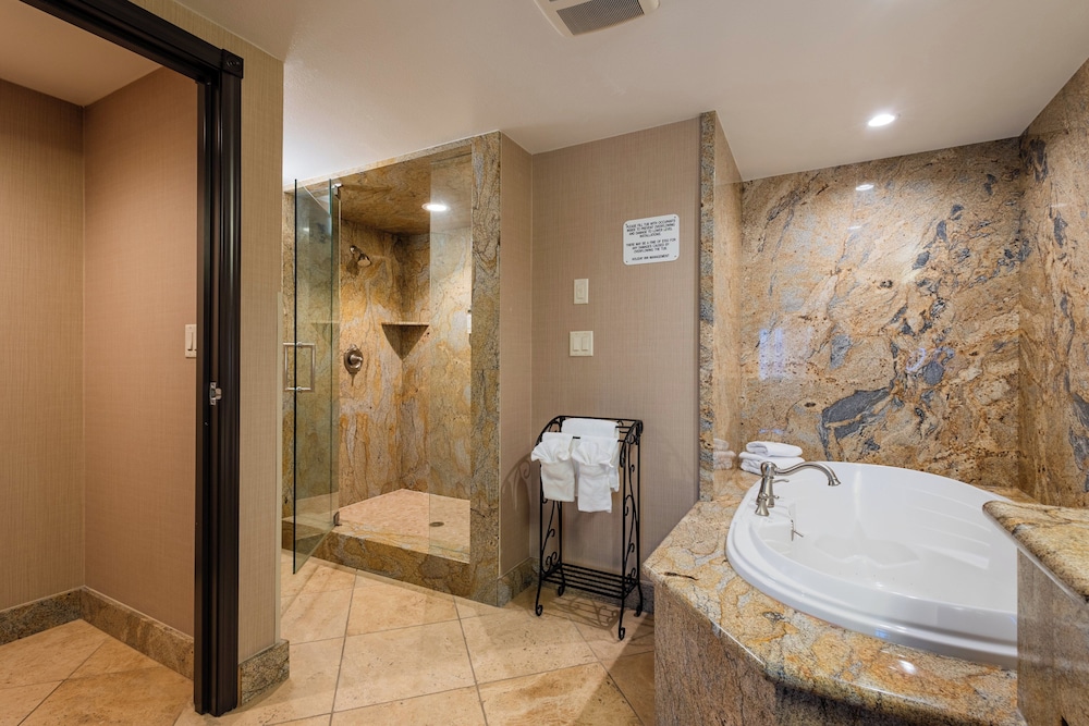 Holiday Inn South Jordan SLC South by IHG - photo 43