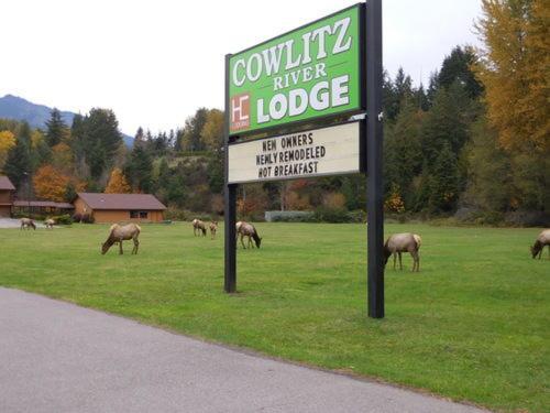 Cowlitz River Lodge - photo 2