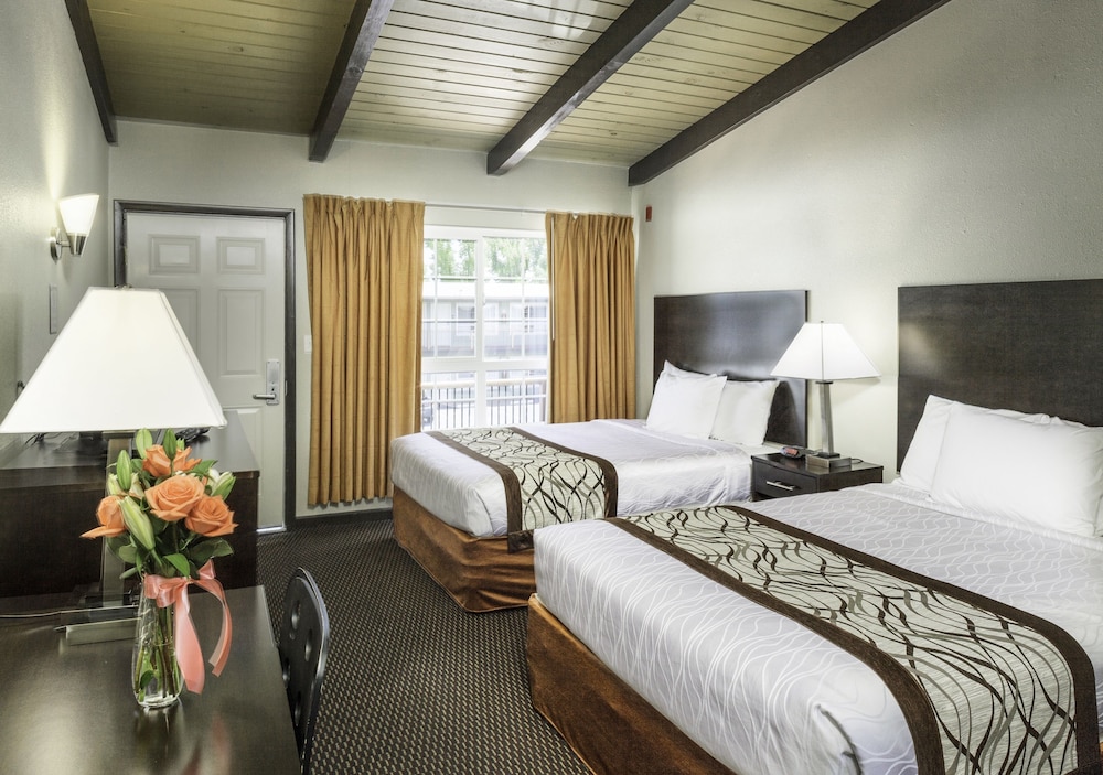 Thunderbird Lodge - photo 10