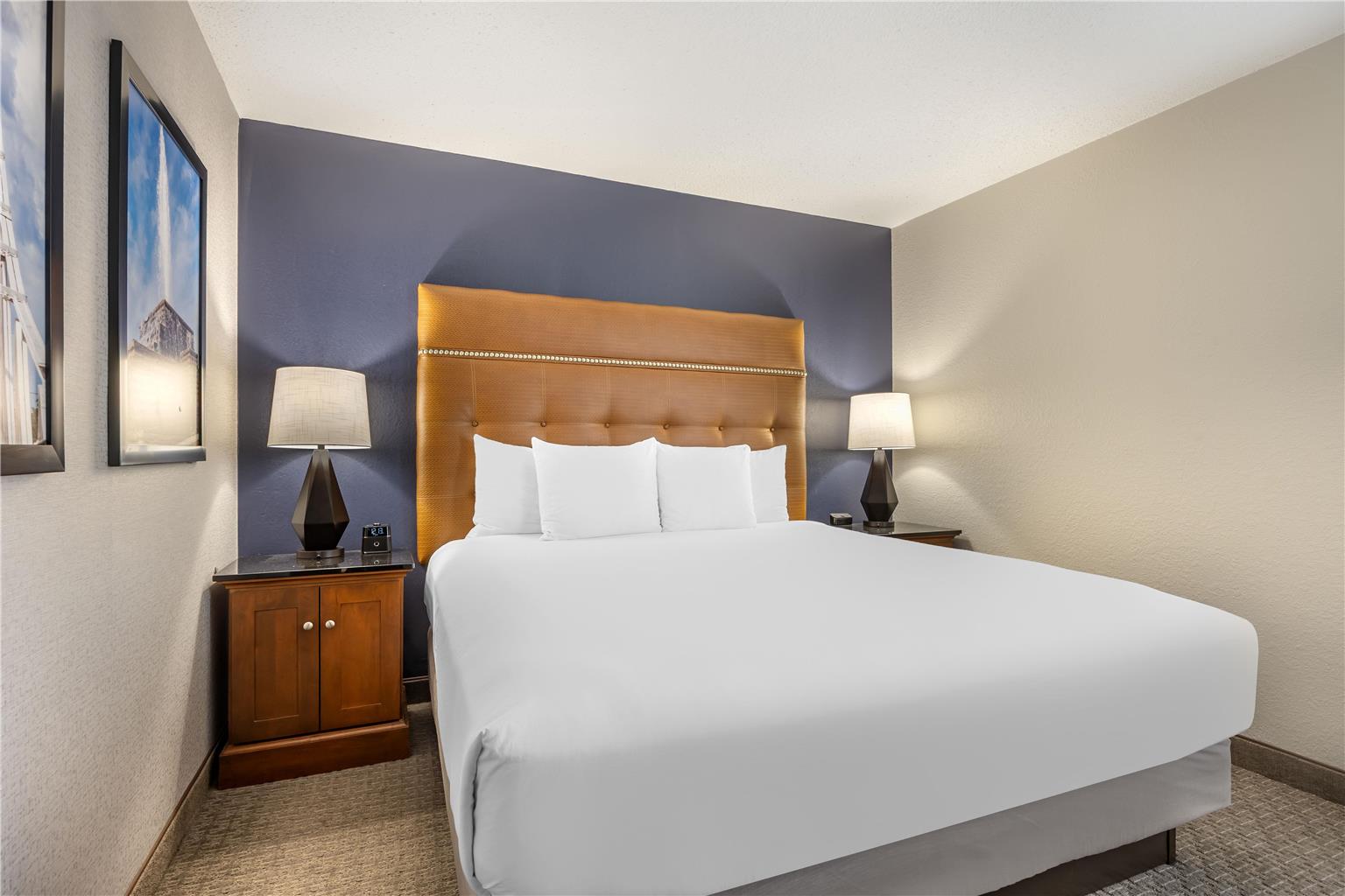 Drury Inn & Suites Springfield MO - photo 13