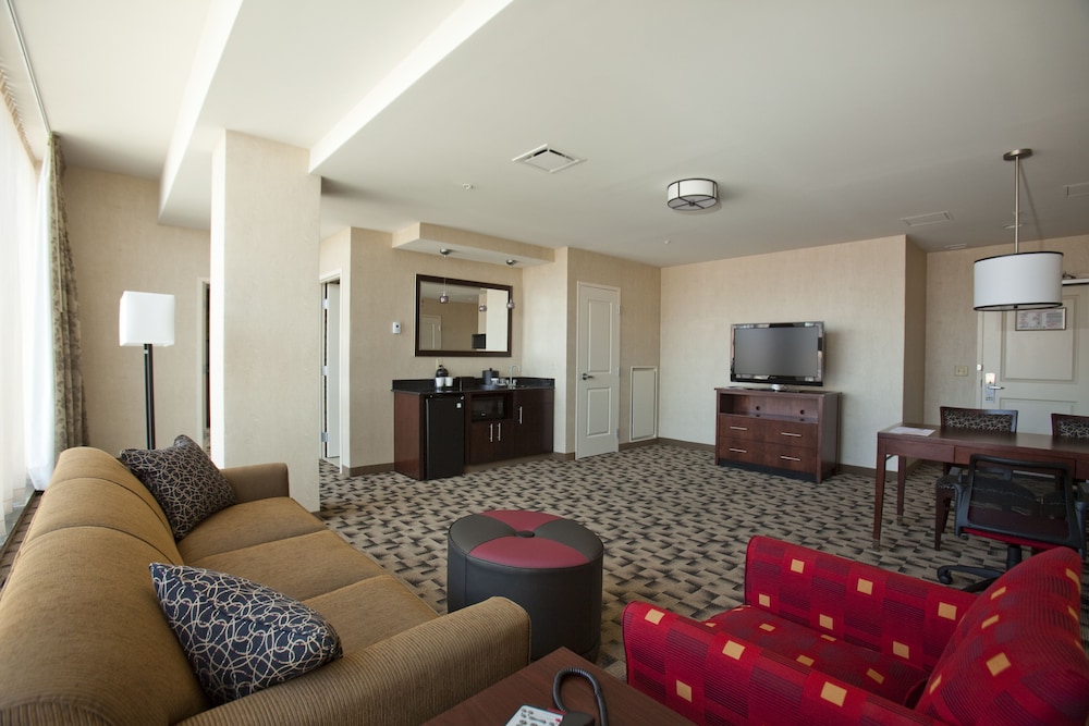 Embassy Suites Buffalo - photo 15