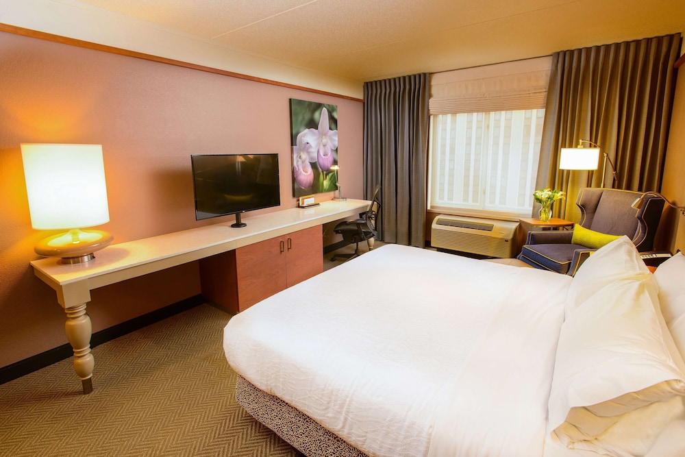Hilton Garden Inn Rochester Downtown MN - photo 11