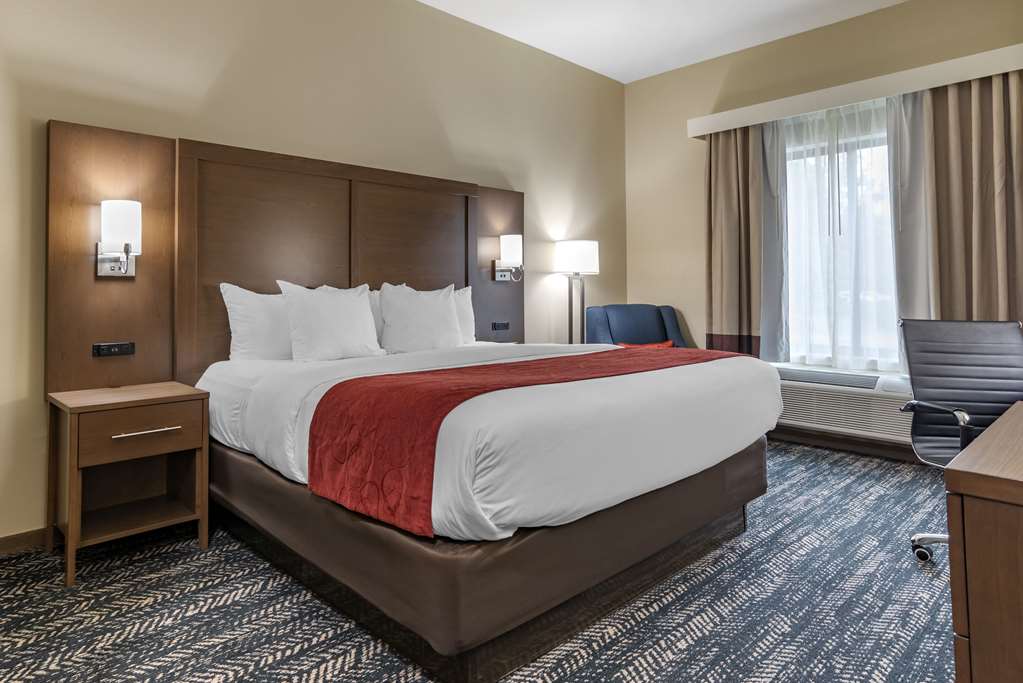 Comfort Inn & Suites Downtown near University - photo 38