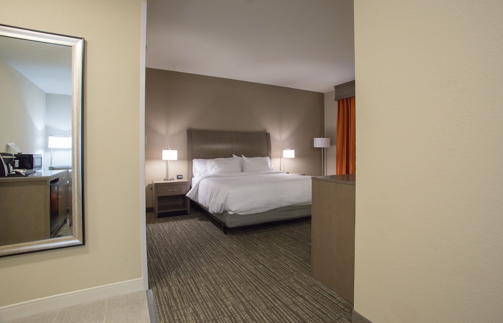 Hilton Garden Inn Bolingbrook I 55 - photo 14