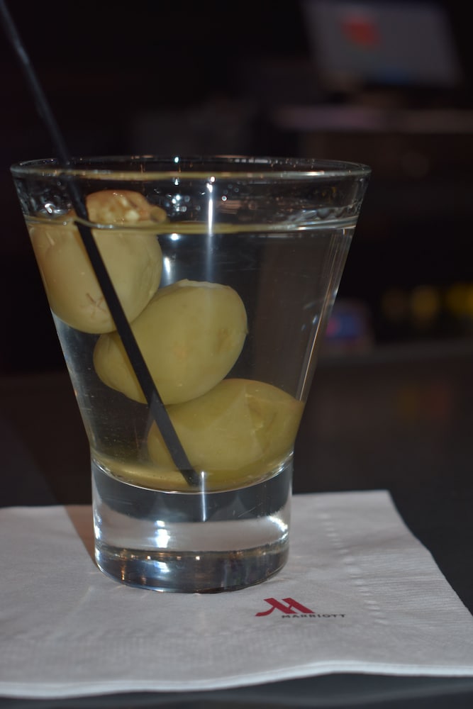 Chicago Marriott Oak Brook - photo 43