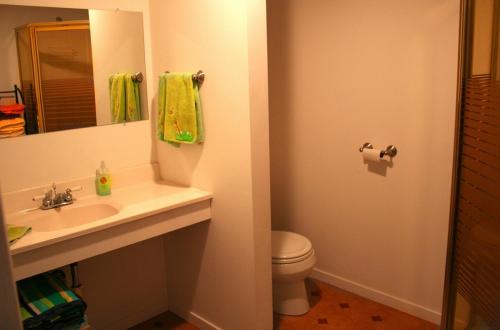 Lily Pad Hot Tub Private Dock BBQ Game Room Walk to Town Fast WiFi Dog Friendly - photo 20