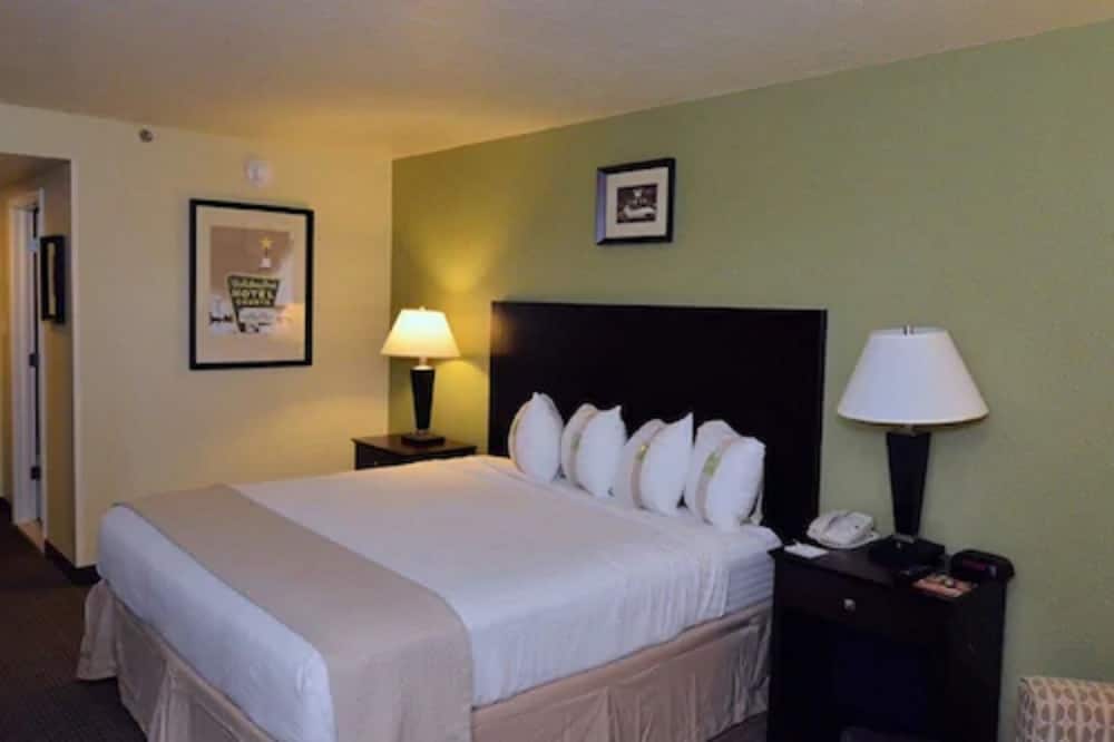 Holiday Inn Fort Myers Downtown Area by IHG - photo 11