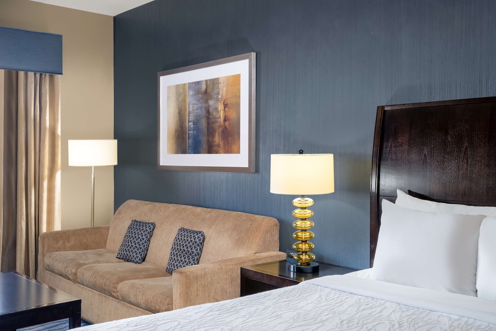 Hilton Garden Inn Fort Worth Alliance Airport - photo 29