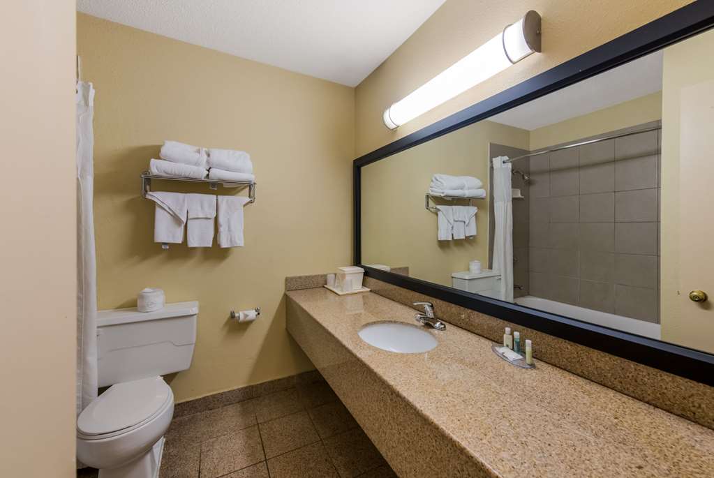 Quality Inn Saint Louis Airport - photo 16