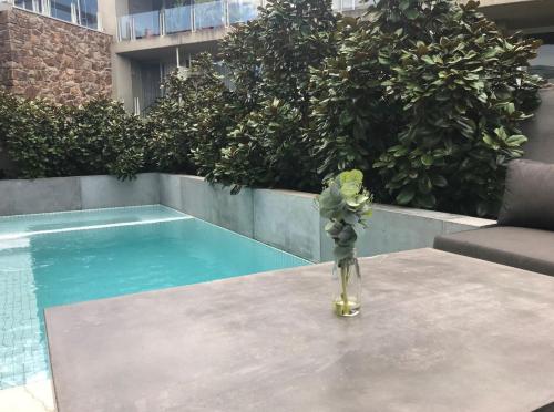 Beachfront Getaway in Torquay, Australia