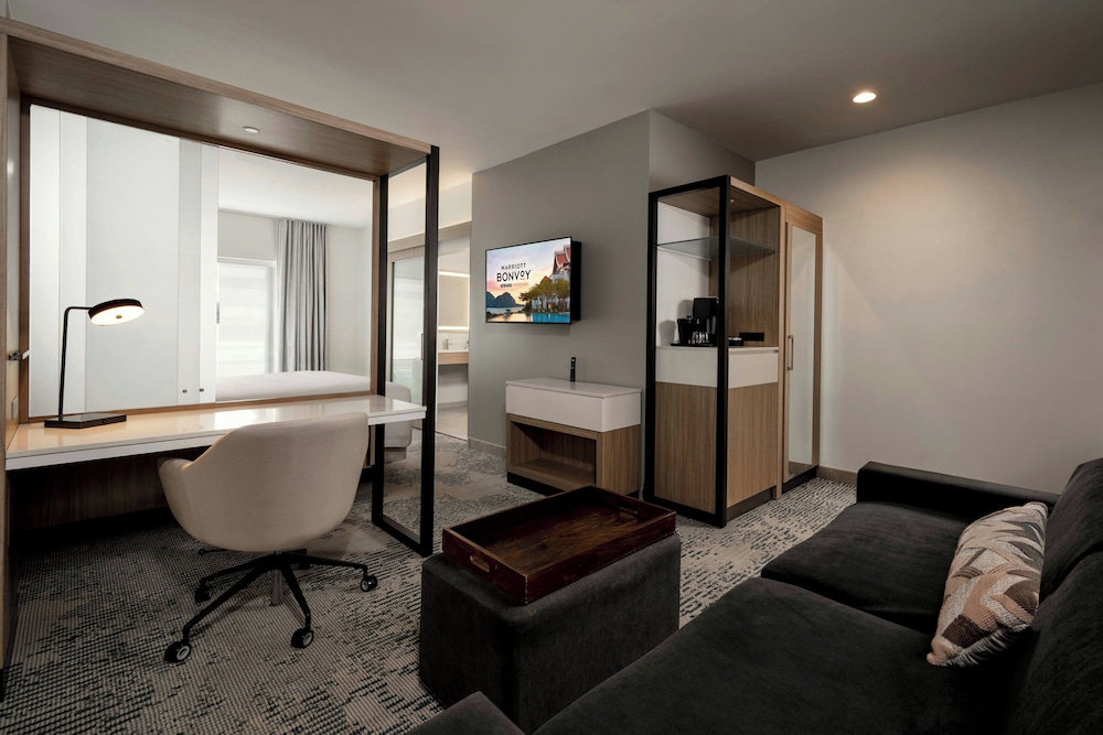 Springhill Suites Houston Brookhollow - photo 9