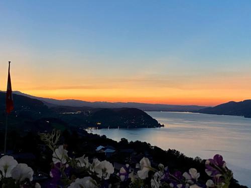 Hotel Seeblick Krattigen — hotel in Aeschi B. Spiez