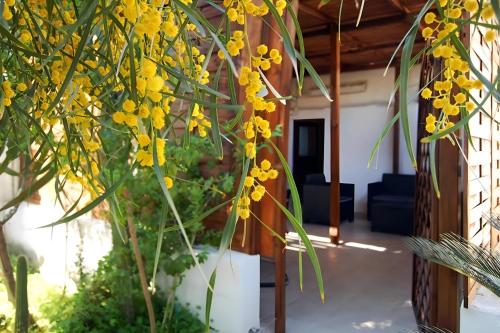 Sea Breeze Villa Sole apartment — 4-Star Luxury Hotel in Bari, Italy