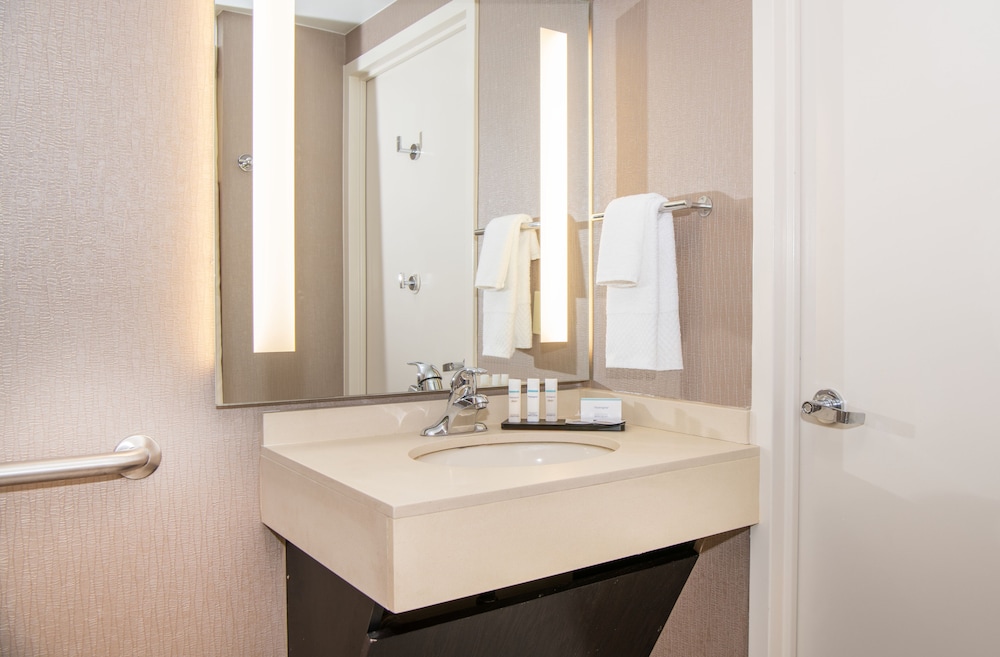 Embassy Suites by Hilton Chicago North Shore Deerfield - photo 14