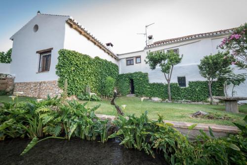 Al Agia Los Molinos de Padul — Padul — photo 2