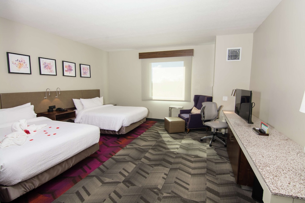 Hilton Garden Inn Tampa Suncoast Parkway - photo 18