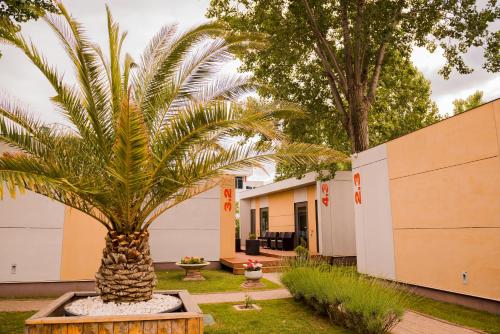Enigma Resort — hotel in Ovidiu