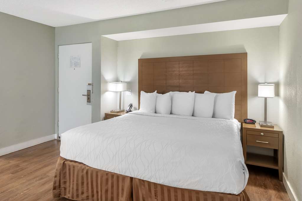 Best Western Inn at Palm Springs - photo 21