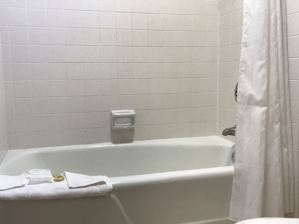 Olive Tree Inn & Suites by Howard Johnson WYNDHAM - photo 25