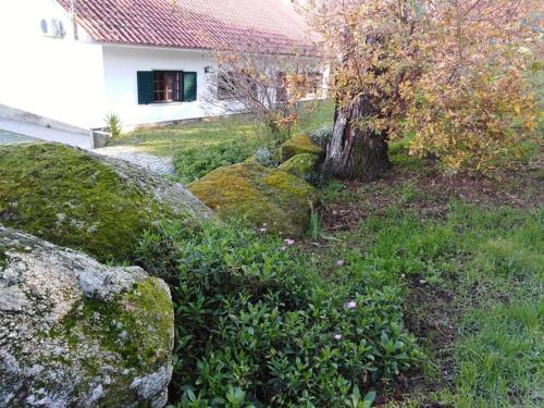 Quinta Souto da Ordem House — 4-Star Luxury Hotel in Fundao, Portugal