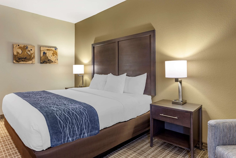 Comfort Inn St. Robert Fort Leonard Wood - photo 7