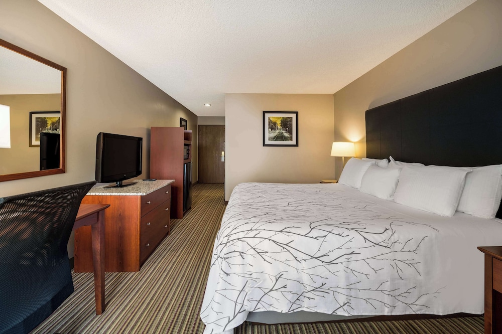 Best Western Park Oasis Inn - photo 20