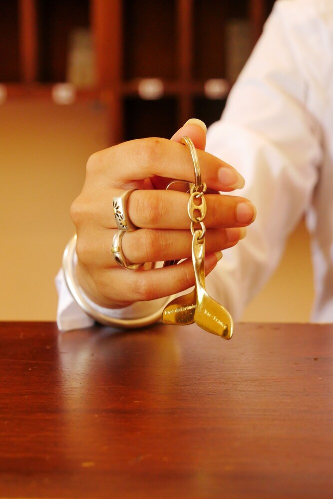 Hôtel De Gigaro in La Croix-Valmer, France