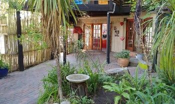 Bush Baby Forest Lodge