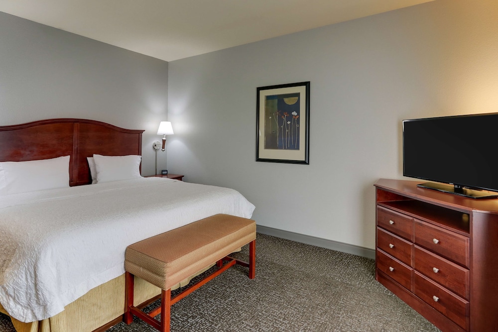 Hampton Inn & Suites Indianapolis Airport - photo 21