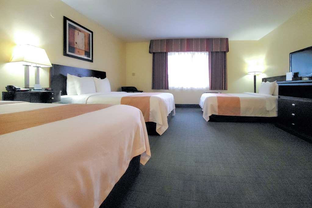 Quality Inn & Suites Anaheim At The Park - photo 30
