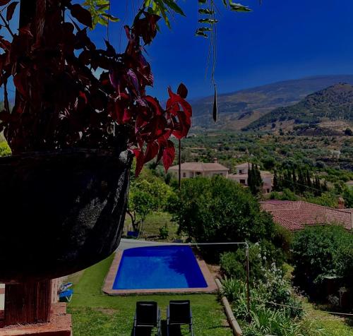 La Kamareta de Chite - last minute hotel in Granada