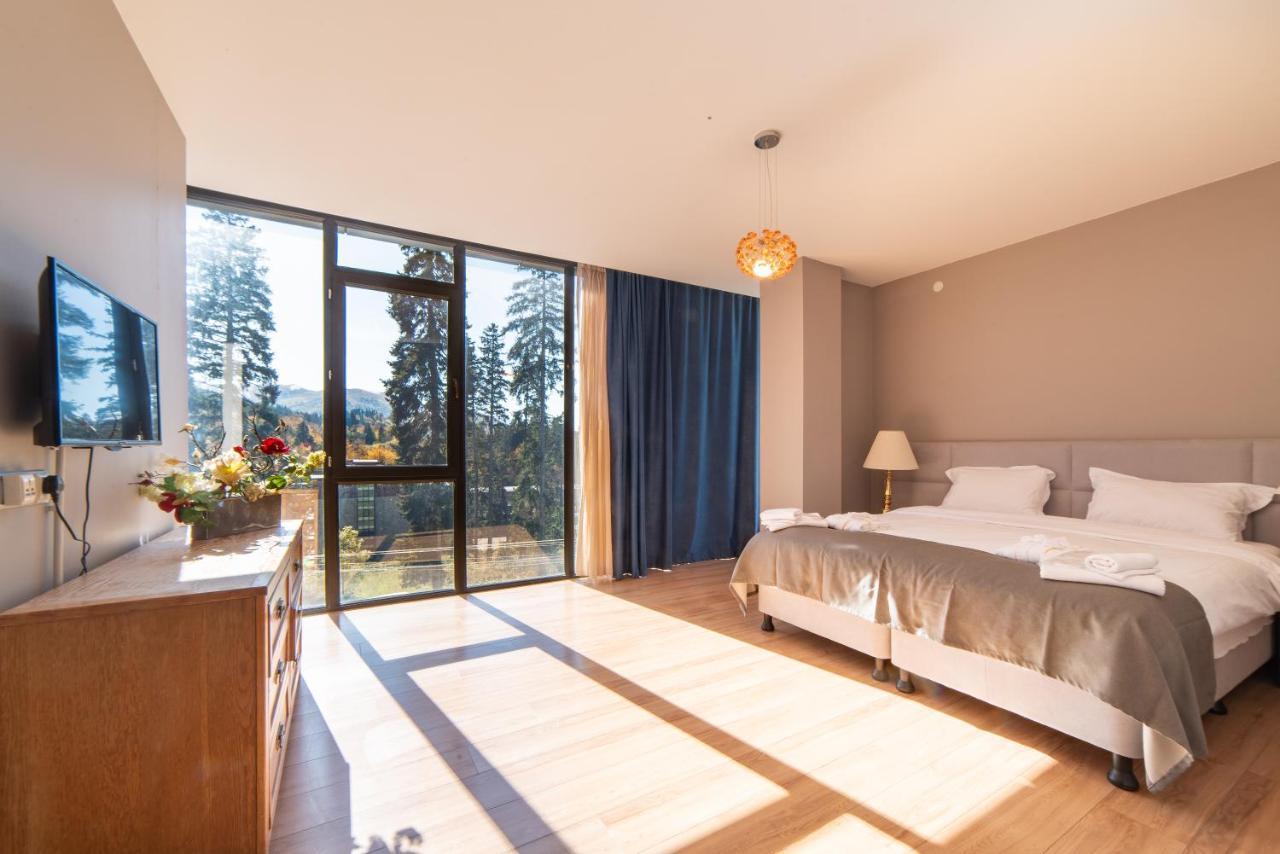 Grand Noel Bakuriani Hotel