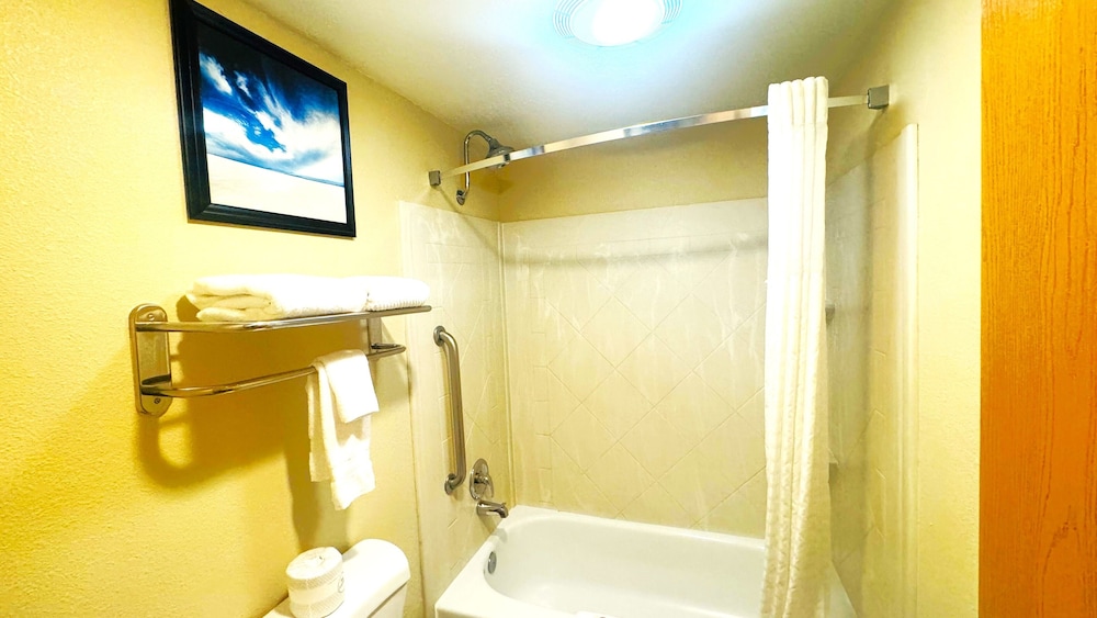 Comfort Inn Salt Lake City Downtown - photo 58