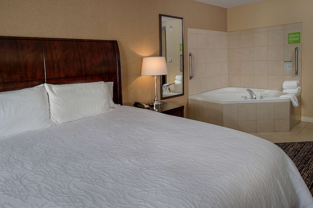 Hilton Garden Inn St. Louis Airport - photo 29
