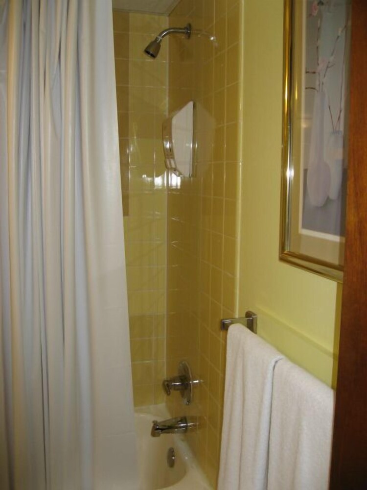 Sea Whale Motel - photo 18