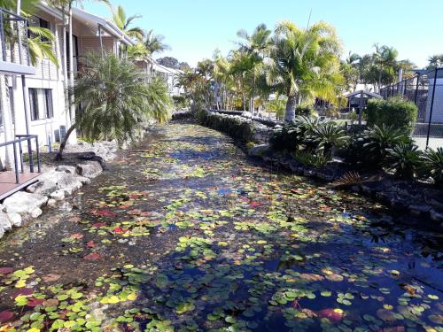 Gorgeous Apartment in Luxurious Noosa Resort — Noosaville — photo 5