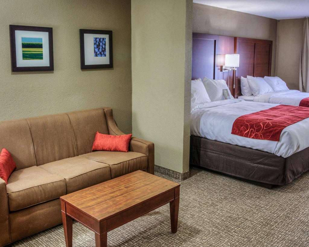 Comfort Suites Plymouth near US 30 - photo 9