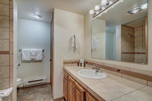 Atrium 304 - photo 24