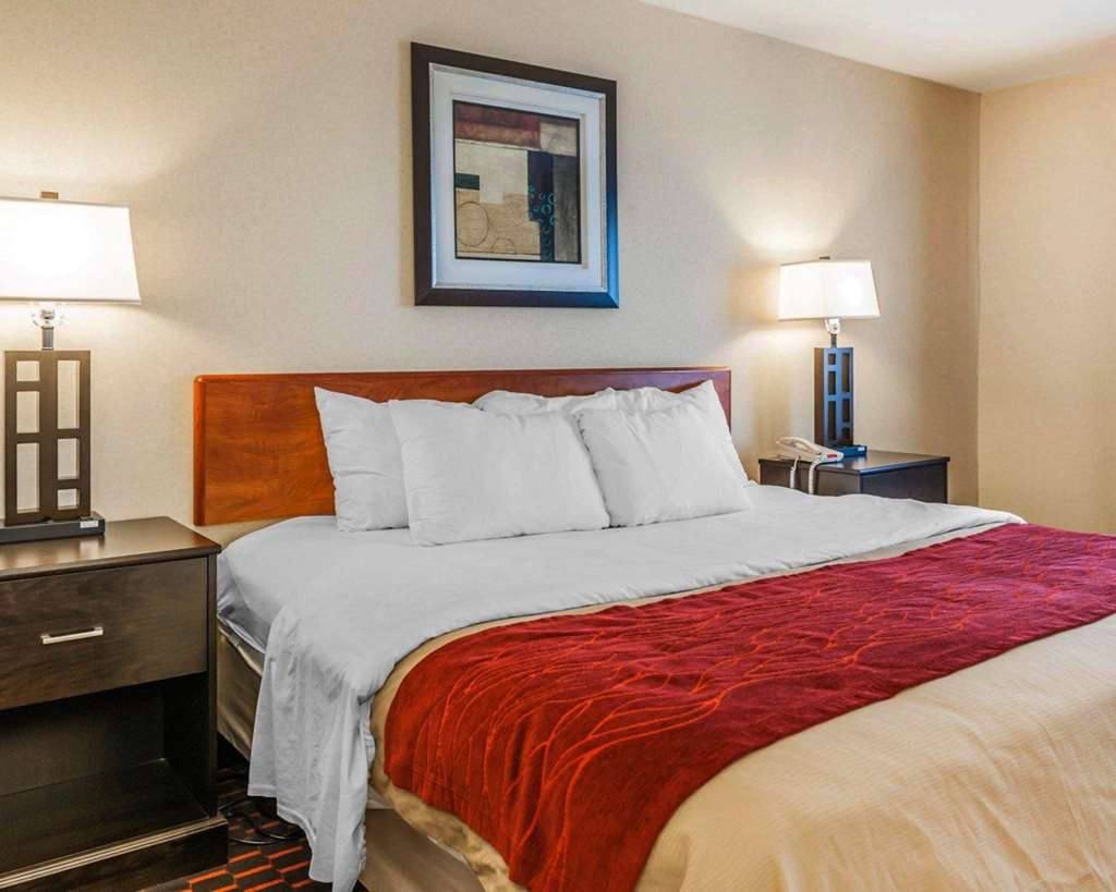 Comfort Inn Avon Indianapolis West - photo 18