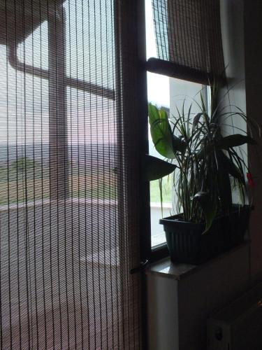 Camere de inchiriat Onelia in Alba Iulia, Romania