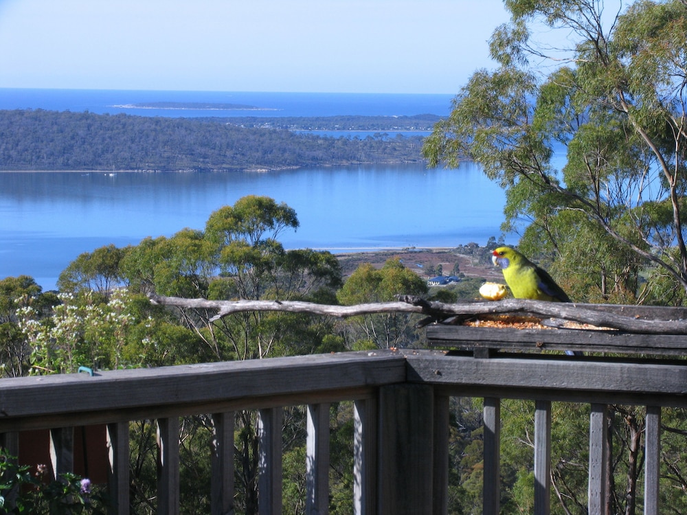 Bed in the Treetops Bed & Breakfast — 4-Star Luxury Hotel in St Helens, Australia